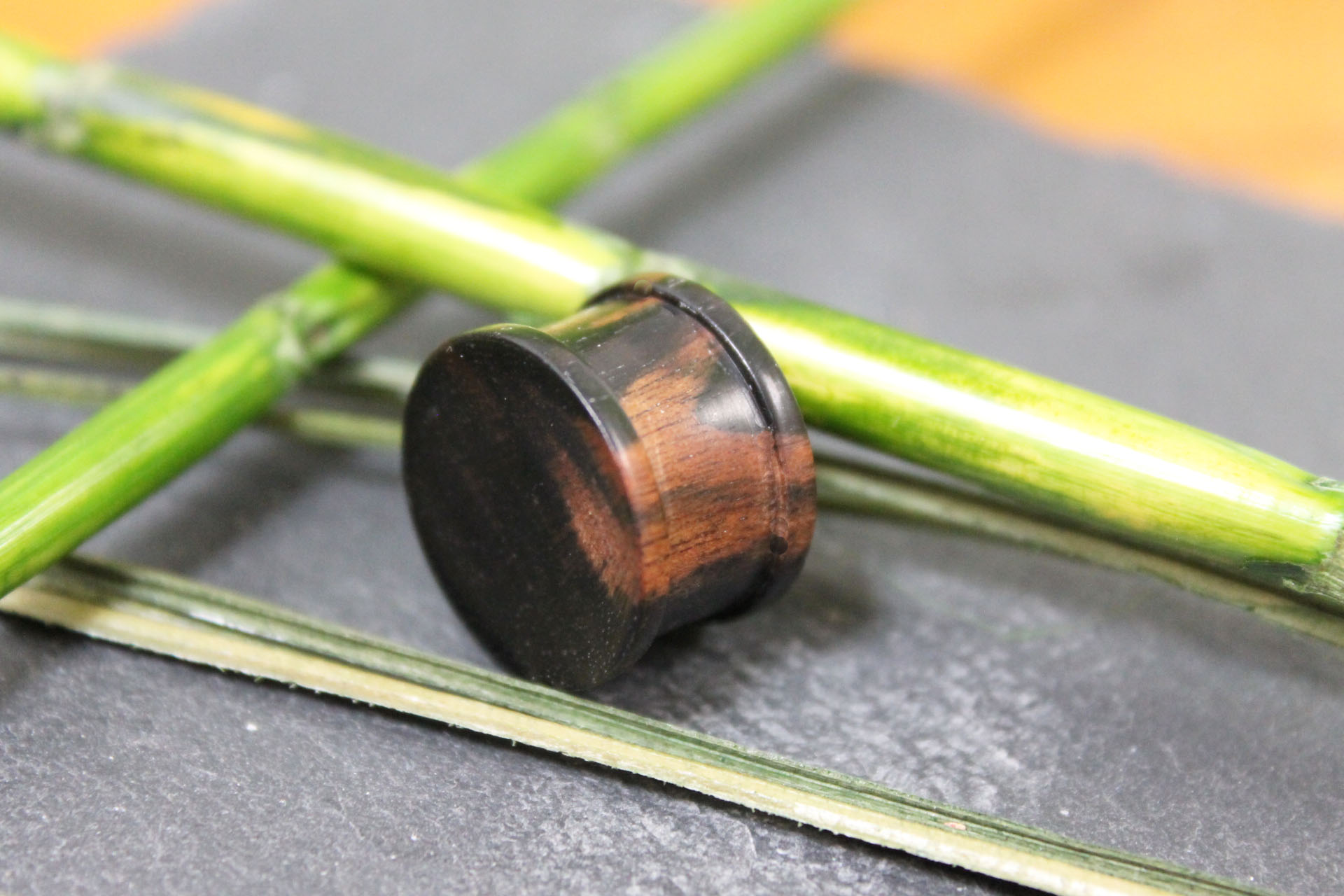 Plugs