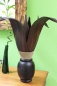 Preview: Exotische Palmblatt Tischlampe Teakholz dunkelbraun H: 60cm