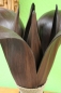 Preview: Exotische Palmblatt Tischlampe Teakholz dunkelbraun H: 60cm
