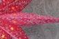 Preview: Edler Leuchtstern rot, silber 80 cm