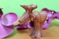 Preview: Kleiner Elch "Knut" knutschend 8cm