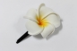 Preview: Exotische Haarklemme Haarclip Blüte Frangipani weiß 4cm lang, 4,5x4,5cm