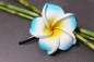 Preview: Exotische Haarklemme Haarclip Blüte Frangipani blau 4cm lang, 4,5x4,5cm