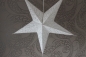 Preview: Edler Leuchtstern weiss, silber 60 cm