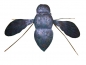 Preview: Wand Metall Kerzenhalter Fliege Insekt 35cm x 42cm