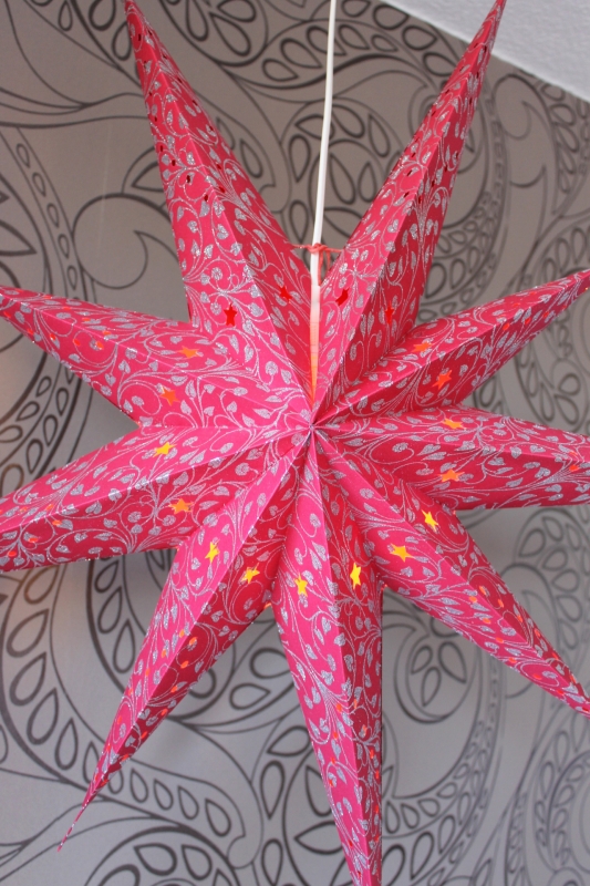 Edler Leuchtstern rot, silber 80 cm