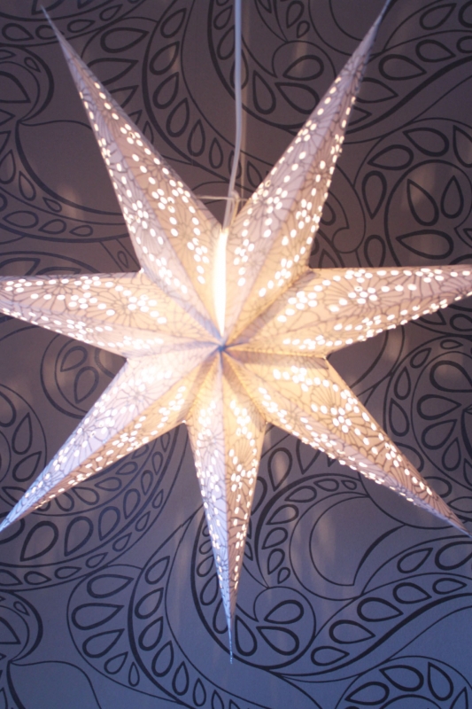 Edler Leuchtstern weiss, silber 60 cm