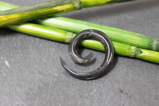 Expander Spirale aus Horn 2mm - 3mm