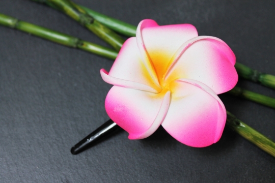 Haarklemme Haarclip Blüte Frangipani rosa 4cm lang, 4,5x4,5cm