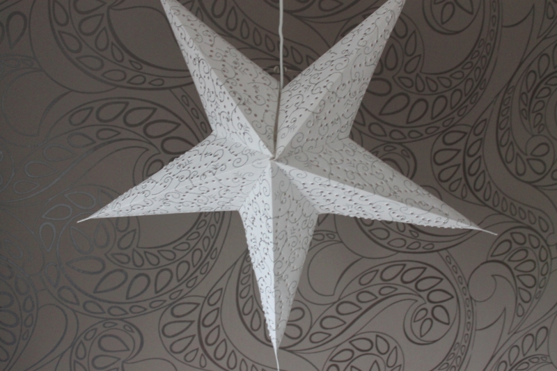 Edler Leuchtstern weiss, silber 60 cm