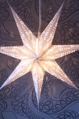 Edler Leuchtstern weiss, silber 60 cm