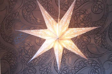 Edler Leuchtstern weiss, silber 60 cm