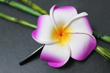 Exotische Haarklemme Haarclip Blüte Frangipani lila 8cm lang, 6x6cm