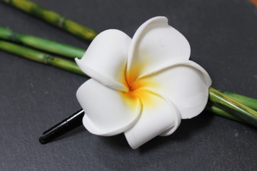 Exotische Haarklemme Haarclip Blüte Frangipani weiß 4cm lang, 4,5x4,5cm