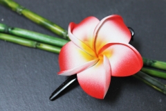 Exotische Haarklemme Haarclip Blüte Frangipani rot 4cm lang, 4,5x4,5cm